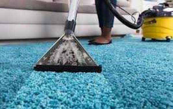 Professional Carpet Cleaning: Key to a Beautiful, Healthy Home