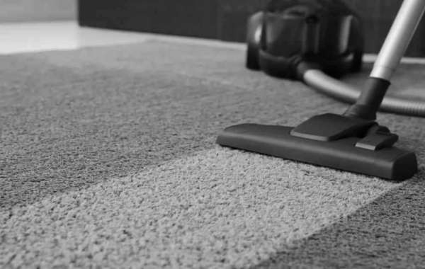 Professional Carpet Cleaning: Key to a Fresh and Healthy Home