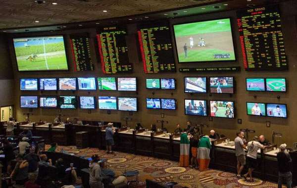 Discover the Thrills of Korean Sports Gambling Sites