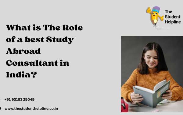 What is The Role of a best Study Abroad Consultant in India?