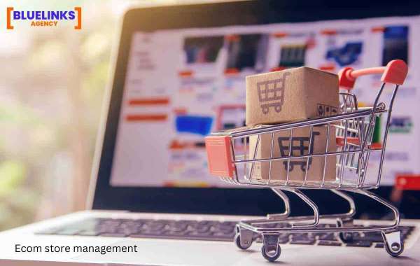 Mastering E-commerce Store Management: Key Strategies for Success