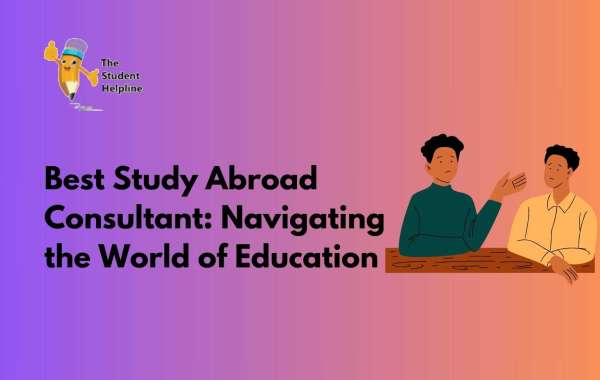 Best Study Abroad Consultant: Navigating the World of Education