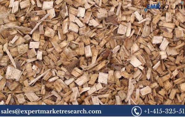 Wood Pulp Market Size, Share and Analysis (2024-2032)