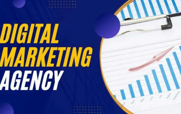 Unlocking the Potential of Your Business with a Digital Marketing Agency in Guwahati