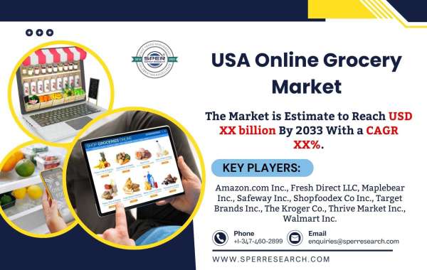 USA Online Grocery Market: Size, Share, Scope and Future Comprehensive Analysis 2023-2033