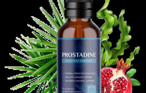 Why Prostadine Is the Top Choice for Natural Prostate Support