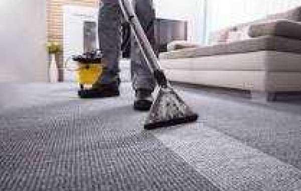 Revamp Your Home’s Aesthetic Appeal with Expert Carpet Cleaning