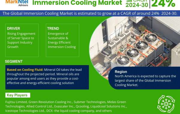 Immersion Cooling Market to Expand at 24% CAGR, Reaching New Heights by 2030