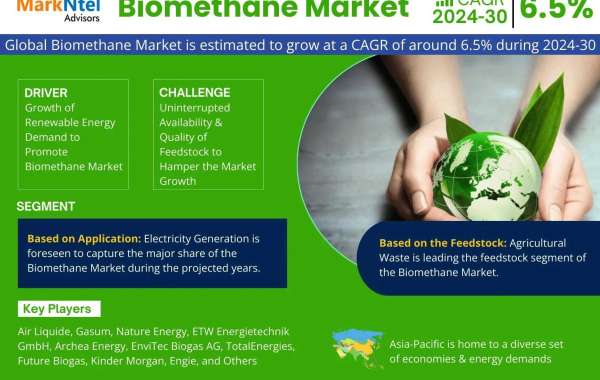 Biomethane Market Bifurcations, Drivers, Restraints, And Trends for 2024-2030