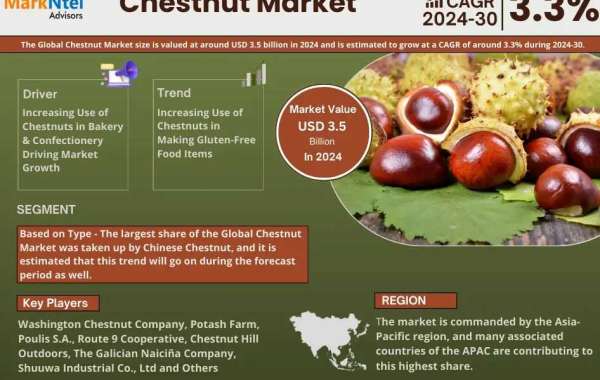 Chestnut Market Research Breakthrough: 2024 Registers 3.5 Billion Valuation, Envisions Impressive 3.3% CAGR