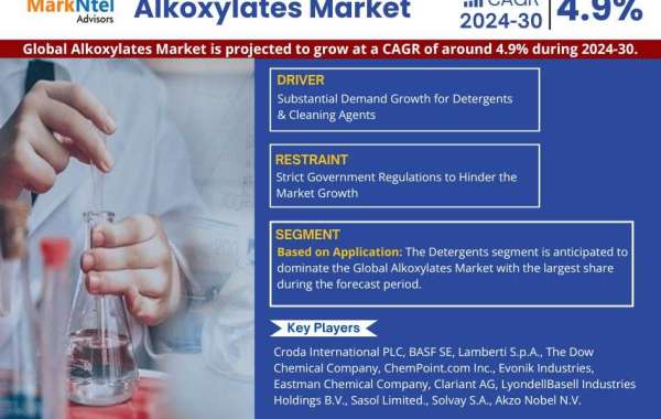 Alkoxylates Market Research | Share, Size, Analysis, Growth Trends, Revenue Projection Till 2030