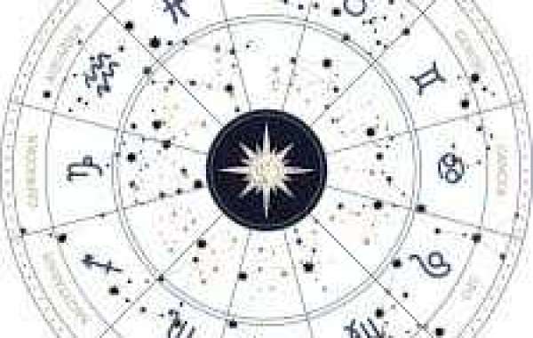 Top Astrologer In Rajkot