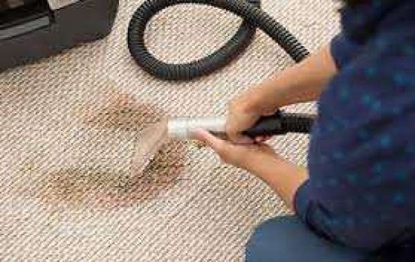 Professional Carpet Cleaning: The Ultimate Aesthetic Upgrade for Homes