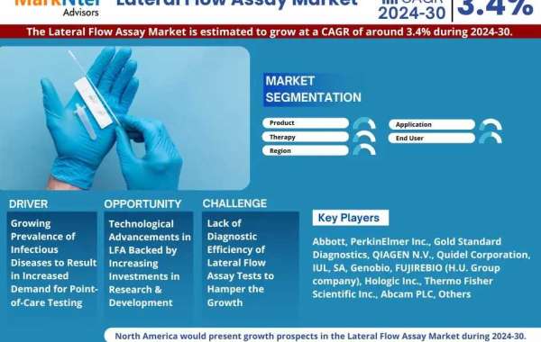 Lateral Flow Assay Market Set to Experience a Massive 3.4% CAGR During 2024-2030