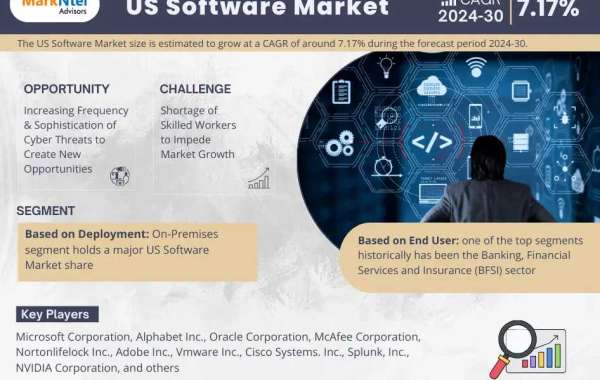 The US Software Market Trends, Demand, Opportunity and Forecast to 2030