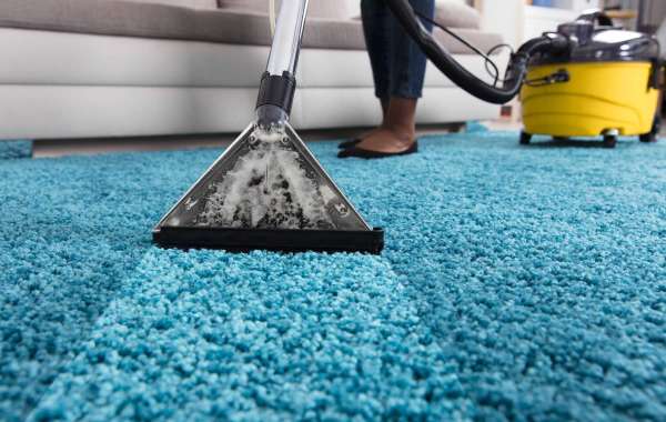 Elevate Your Home’s Cleanliness and Comfort with Professional Carpet Cleaning