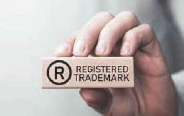 Trademark Monitoring with IPWise Solutions: Protecting Your Brand's Identity