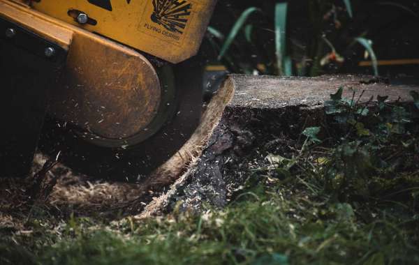 Guide to London Stump Grinding and Stump Removal in North London