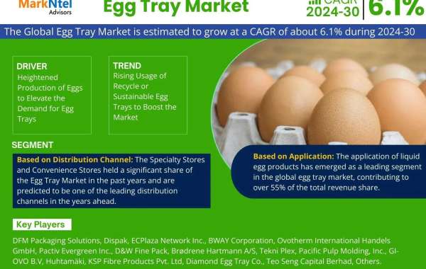 Egg Tray Market Set to Experience a Massive 6.1% CAGR During 2024-2030