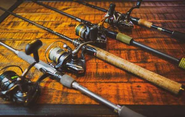 The Best Fishing Rods to Pair with a Shimano FX 2500HG Reel