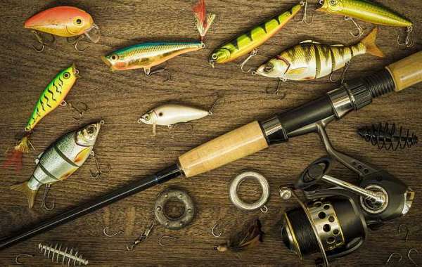 Fishing Like a Pro: The Advantages of Using the Assassin Edgesurf Spin Rod with a Farcast Spinning Reel