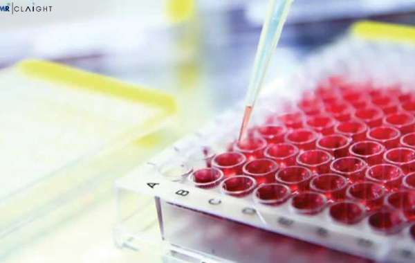 Global Cell-based Assays Market | Share | Size | Trends | Growth | Reports | Forecast | 2024 - 2032