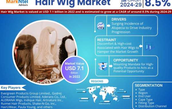 Hair Wig Market Set to Experience a Massive 8.5% CAGR During 2024-2029