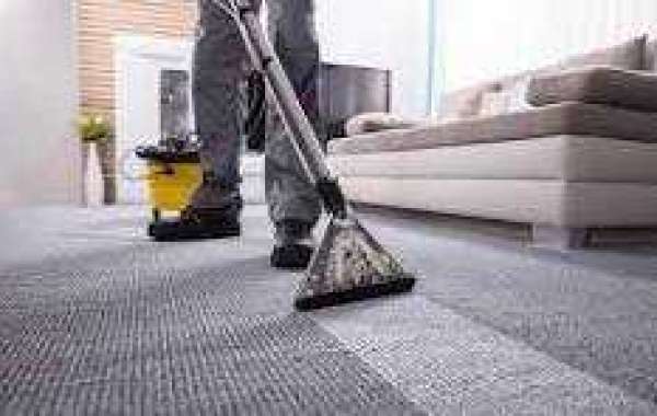 Why Carpet Cleaning is Essential for Fresh Air Quality