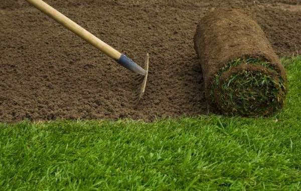 How Can Sod Installation Companies Improve Your Landscape?