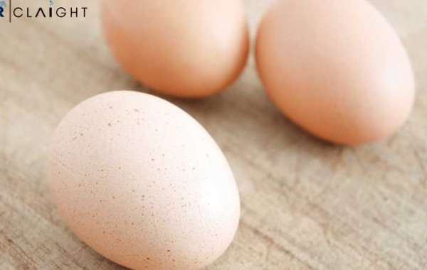 Specialty Egg Market Size, Share, Growth Report and Forecast 2032