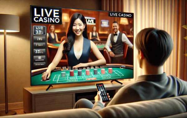 Exploring Online Casinos