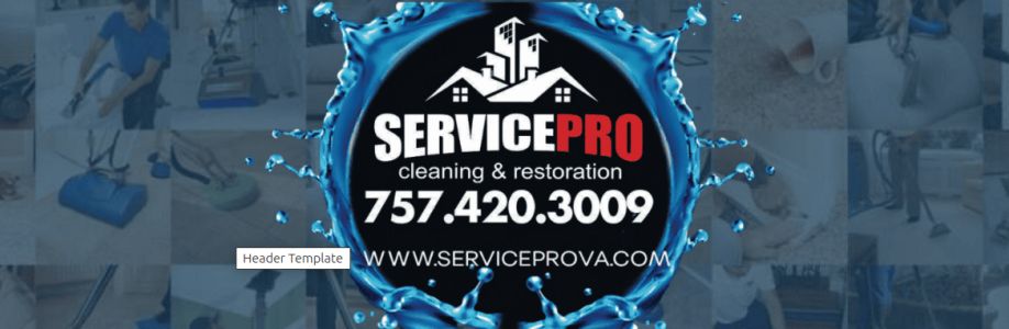 Service Pro LLC Cover Image